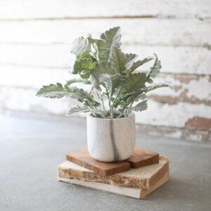 Artificial Plant in a Faux Marble Pot